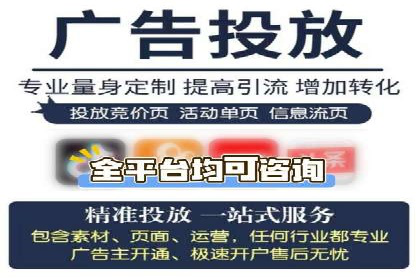 SEM搜索引擎优化成功案例，揭示优化策略与技巧